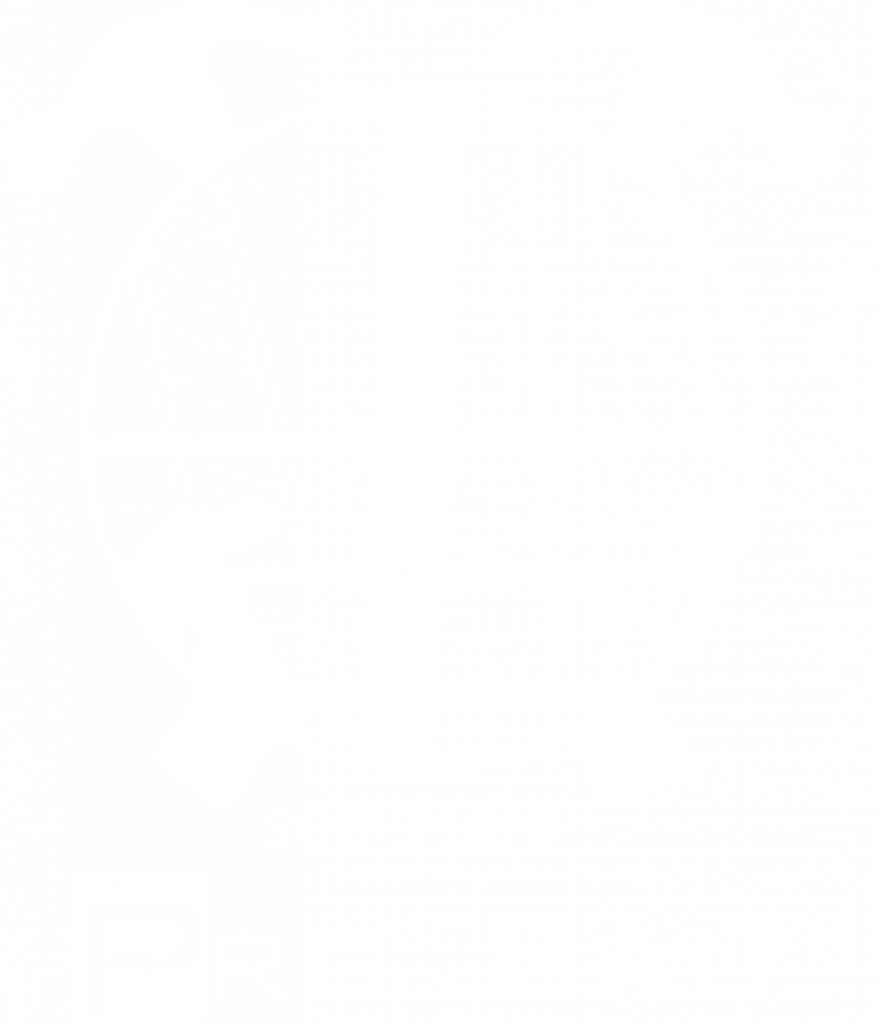 Pro Bau GmbH